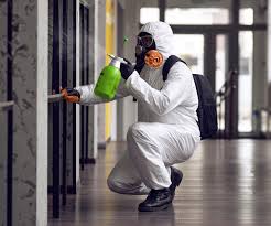 Mold Remediation for Rental Properties in Cahokia, IL