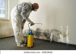 Reliable Cahokia, IL Mold Removal Services Solutions